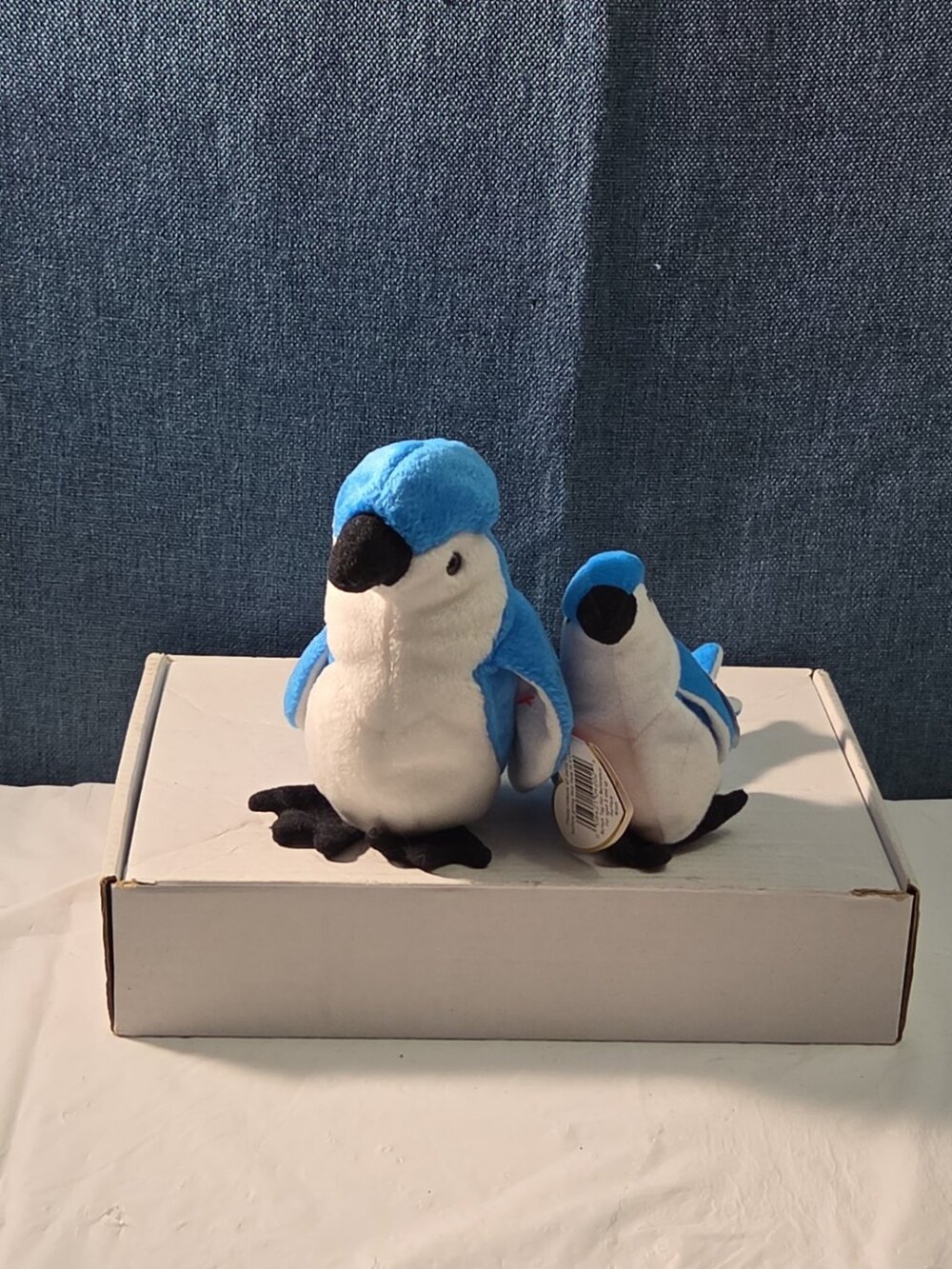 Ty Beanie Baby Rocket the Blue Jay Set Standard & Teenie Beanie 1998 NWT Bird - Picture 10 of 16